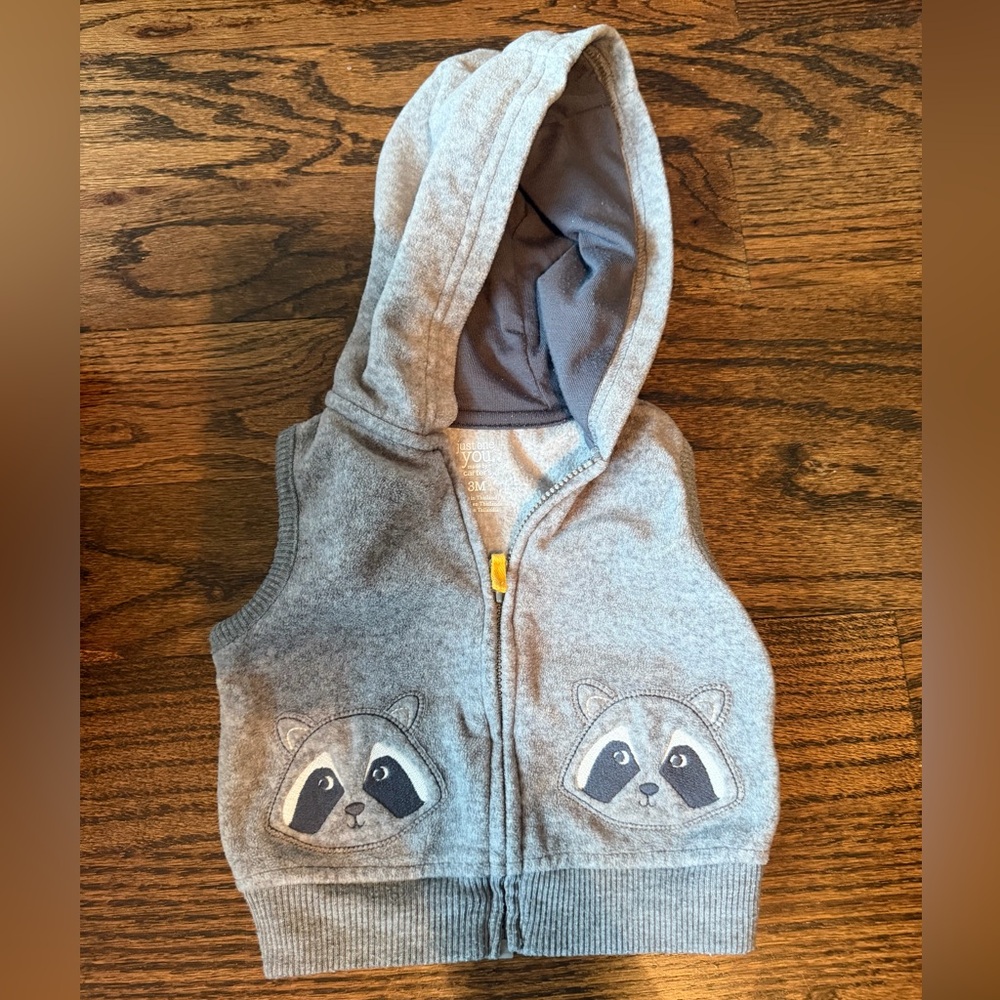 Gray 3 month Hooded Vest with Raccoon Design
